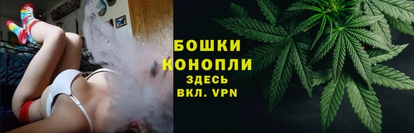 гидропоника Вяземский