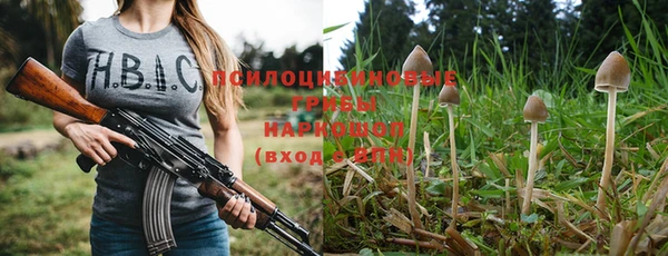 шишки Володарск