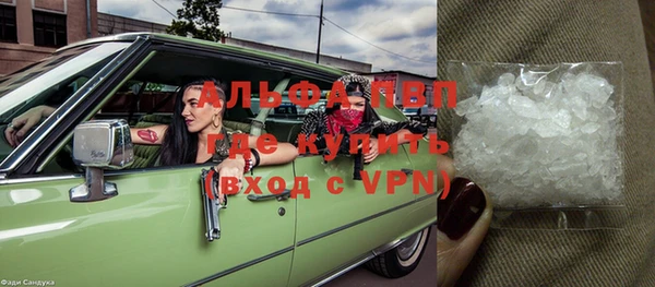 шишки Володарск