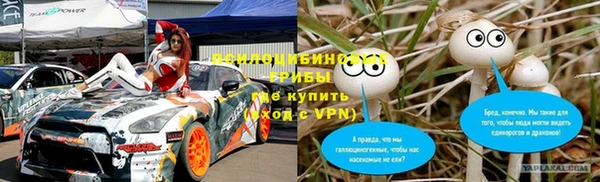 шишки Володарск
