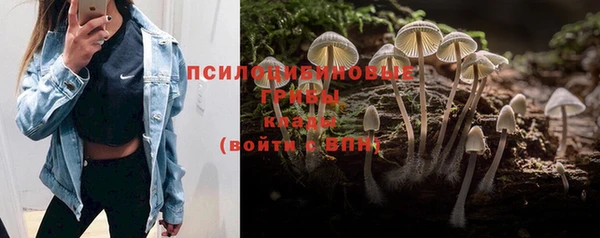 MDMA Premium VHQ Волосово