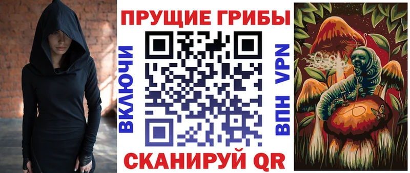 Псилоцибиновые грибы мицелий  Купить где  Почеп 